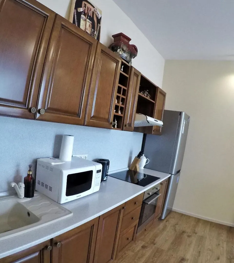 Apartment On Dragomirova Kyiv